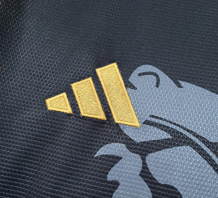 Camisola Conceito Aston Villa Edição Dragão 2425