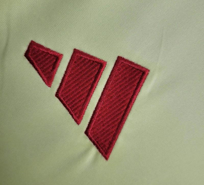 camisola de futebol Espanha alternativa 2024