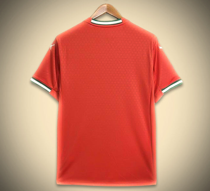 camisola de futebol Portugal conceito edição Comma principal temporada 2425