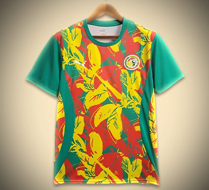 maillotsenegalavantmatch.jpg Maillot Sénégal Avant-Match 2024 vue de face