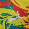 maillotsenegalavantmatchpuma.jpg Maillot Sénégal Avant-Match 2024 vue de dos