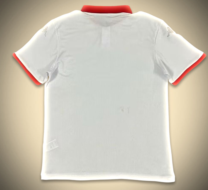 Camisola Tunísia Alternativa 2024-2025 vista de perfil