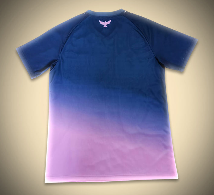 Camisola conceito Tunísia rosa e azul edição adepto futebol