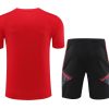 Conjunto treino Bayern Munich terceiro equipamento época 2023 2024