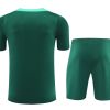Conjunto camisola e calção Portugal temporada 2024 2025 equipamento de futebol