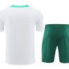 Conjunto camisola e calção Portugal temporada 2024 2025 vestuário de futebol