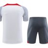 ensemble-training-liverpool-blanc-et-gris-saison-vingt-vingt-trois-vingt-vingt-quatre Conjunto de treino Liverpool branco e cinzento época vinte vinte três vinte vinte quatro