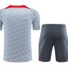 conjunto de treino Liverpool cinzento época 2023 2024 fato de treino oficial