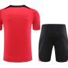 Conjunto de treino PSG rosa época 2023 2024