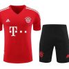 Kit d'entraînement Bayern Munich Third 2023-2024