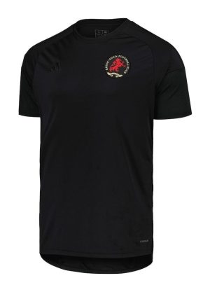 CAMISOLA ASTON VILLA ANIVERSÁRIO 20242025