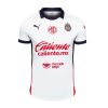 CAMISOLA CHIVAS DE GUADALAJARA ALTERNATIVA 20242025