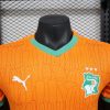 Camisola de futebol Costa do Marfim principal época 2025 equipa oficial dos Elefantes