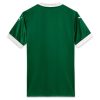 Camisola principal Palmeiras época 2025 jersey oficial verde e branco