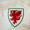Camisola Alternativa País de Gales 2026