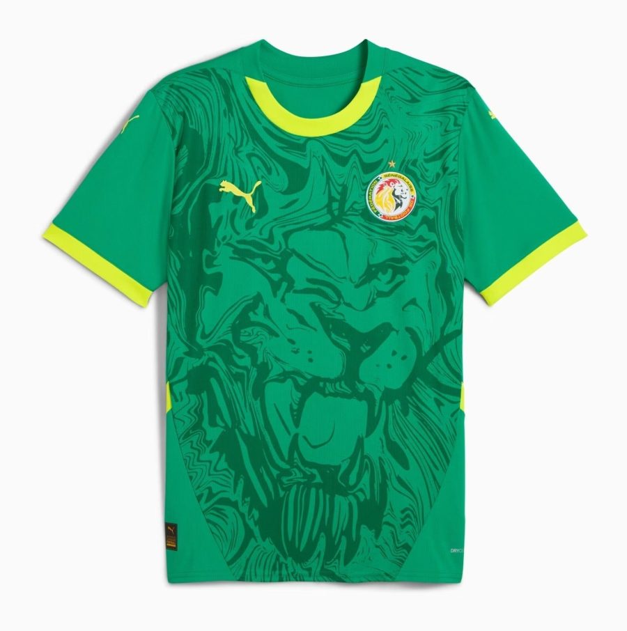 CAMISOLA SENEGAL ALTERNATIVA 20242025
