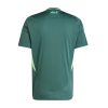 Equipamento de futebol Argélia versão alternativa para homem temporada 2024 2025