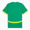 equipamento de futebol Senegal alternativa jersey dos Leões de Teranga cor branco verde vermelho