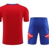 tenue-entrainement-bayern-munich-rouge-et-bleu-saison-2023-2024 equipamento treino Bayern Munich vermelho e azul época 2023 2024