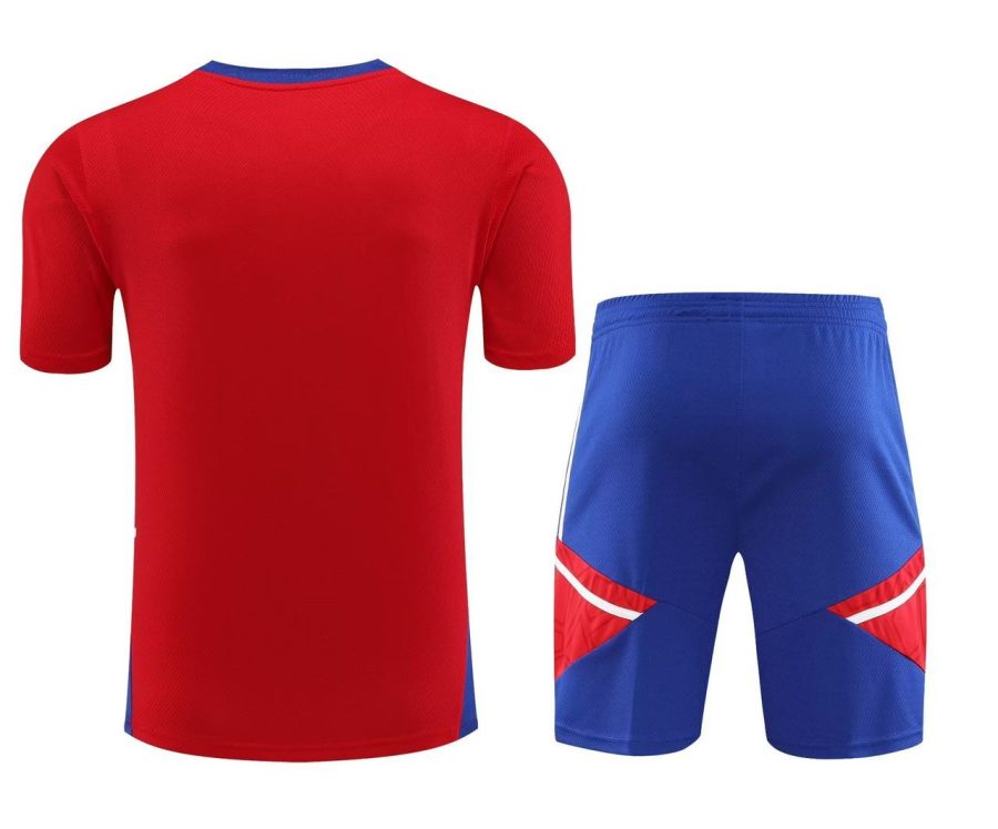 tenue-entrainement-bayern-munich-rouge-et-bleu-saison-2023-2024 equipamento treino Bayern Munich vermelho e azul época 2023 2024