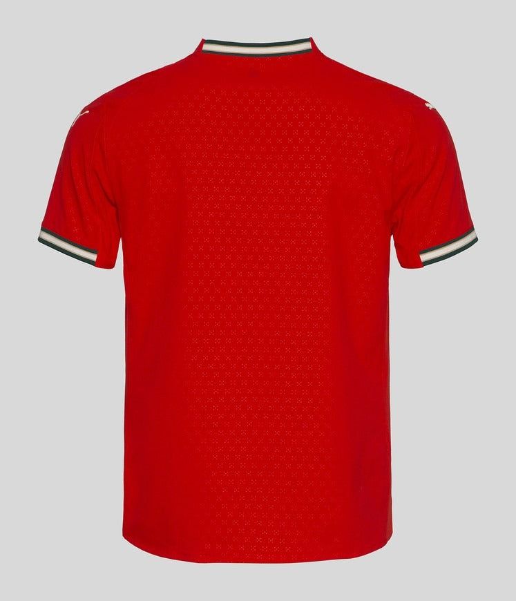 tenue-officielle-equipe-du-portugal-maillot-domicile-nouvelle-collection-deux-mille-vingt-cinq equipamento oficial equipa de Portugal camisola principal nova coleção dois mil e vinte e cinco