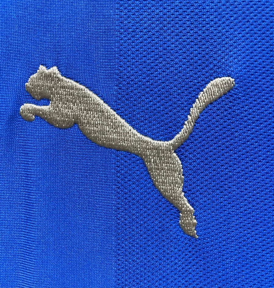 tenue-officielle-leicester-city-a-domicile-en-bleu-royal equipamento oficial Leicester City Principal em azul real