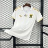 Camisola África do Sul Alternativa 2026