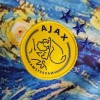 Camisola Ajax Amsterdam 2023-2024 Edição Especial