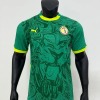 1_1755856568000.jpg Camisola Senegal Alternativa Verde CAN 2025-26