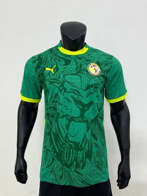 1_1755856568000.jpg Camisola Senegal Alternativa Verde CAN 2025-26