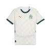 1b3625913c1e.jpg Camisola Costa do Marfim Alternativa CAN 2025-26