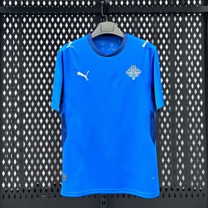 Camisola Islândia Principal 2025/26