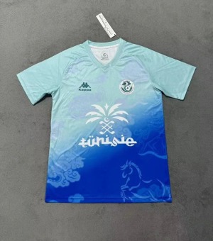 Camisola Tunísia Treino 2025