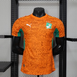 Camisola Costa do Marfim 2025/26 Player