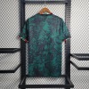 Camisola Itália 2023-2024 Edição Especial Verde