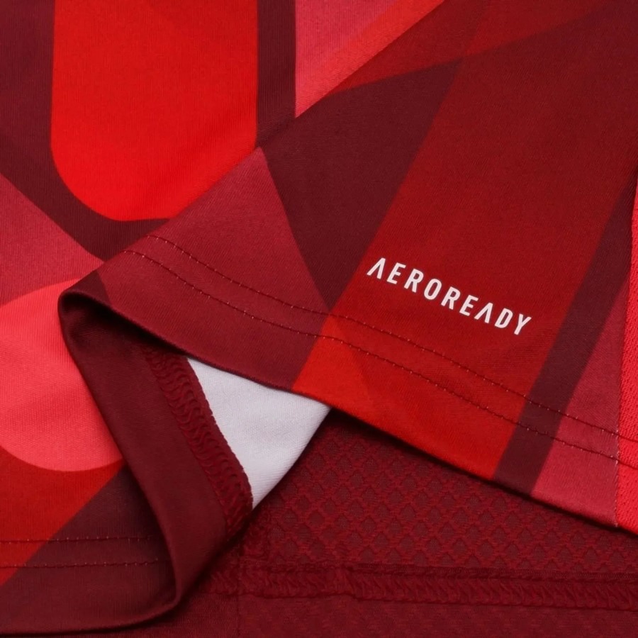Camisola Alemanha Alternativa EURO 2025
