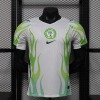 Camisola Nigéria Alternativa Mundial 2026