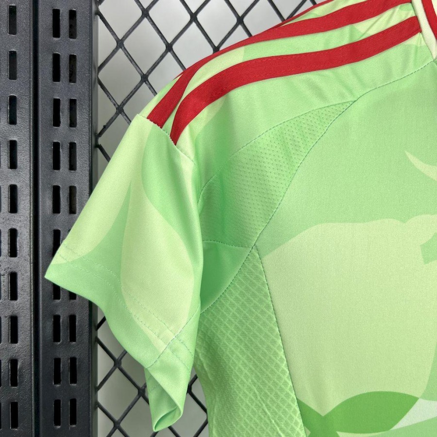 Camisola Feminino Itália Alternativa EURO 2025