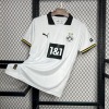 62A43A60-6D33-44B6-911C-E735C8E254D2.jpg Camisola BVB Dortmund Terceira 2024/25