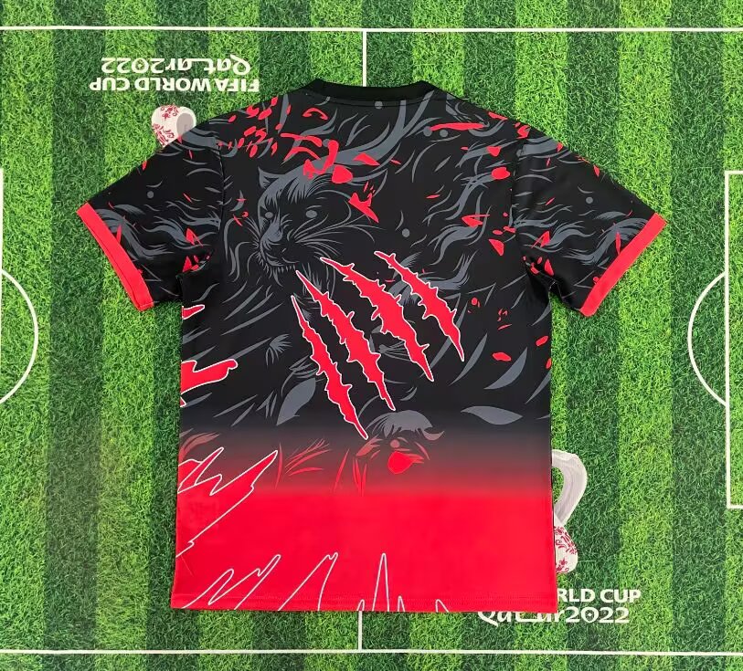 Camisola Brasil 2025/26 Special Red