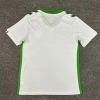 Camisola AS Saint-Étienne Alternativa 2024-2025