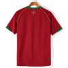 Camisola Portugal Principal Retro 2006