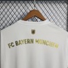 Camisola Bayern Munich 2022-2023 Alternativa