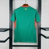 Camisola Senegal Alternativa 2026