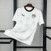Camisola Egipto Alternativa 2026