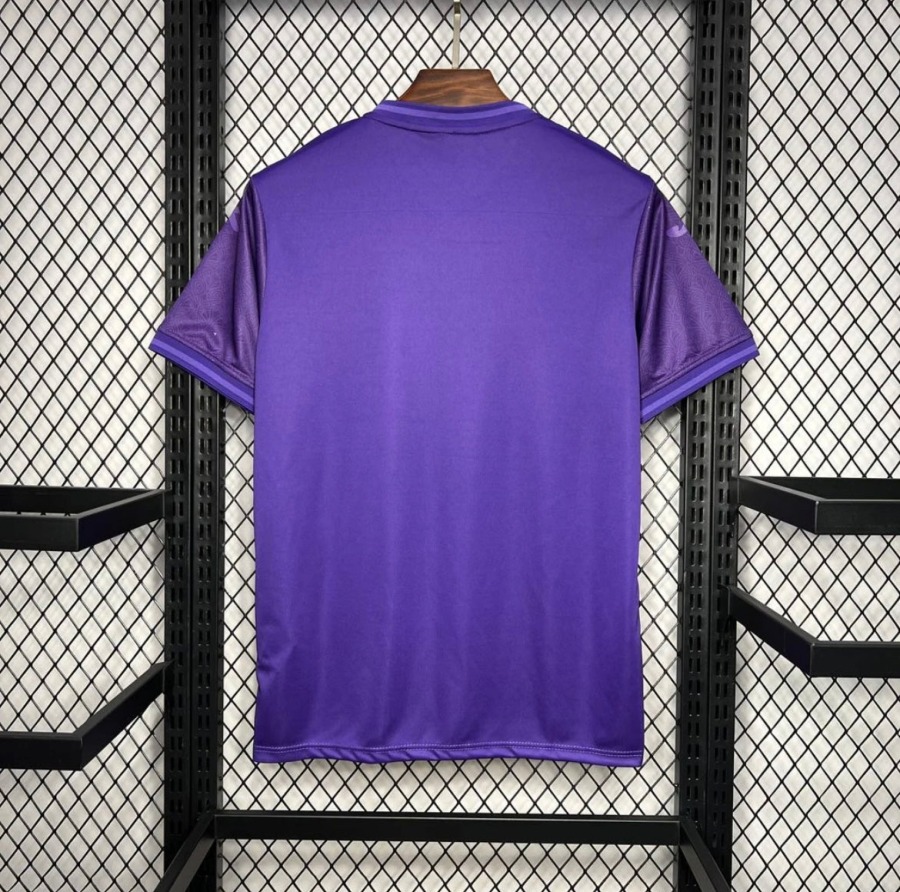 Camisola Anderlecht Principal 2024/25