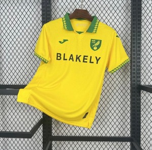 Camisola Norwich City Principal 2025/26