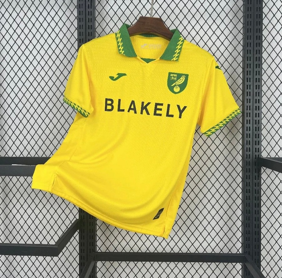 Camisola Norwich City Principal 2025/26