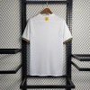 Camisola AIK Solna 2023/24 Conceito
