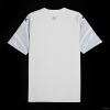 Camisola Manchester City 2024/25 Dragão